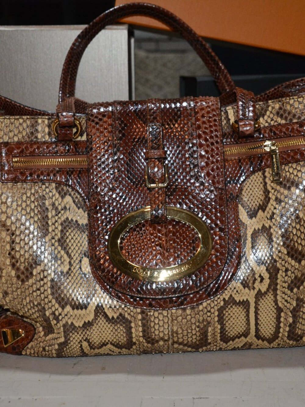 Dolce & Gabbana Multicolor Python Tote